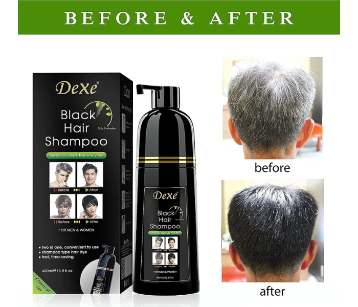 Dexe Hair Color Shampoo Black Two In One 400ml