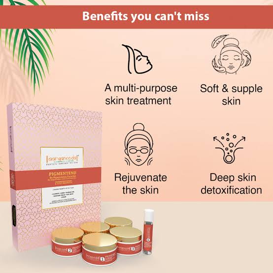 Aryanveda Pigmentend Kit -260g