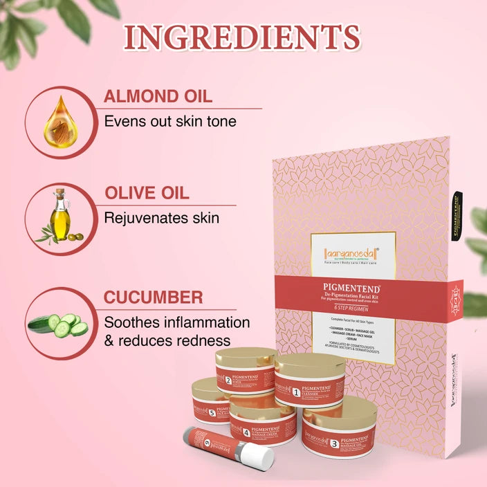 Aryanveda Pigmentend Kit -260g
