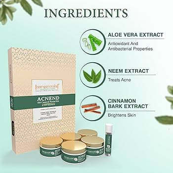 Aryanveda Anti-Acne Facial Kit - 260g