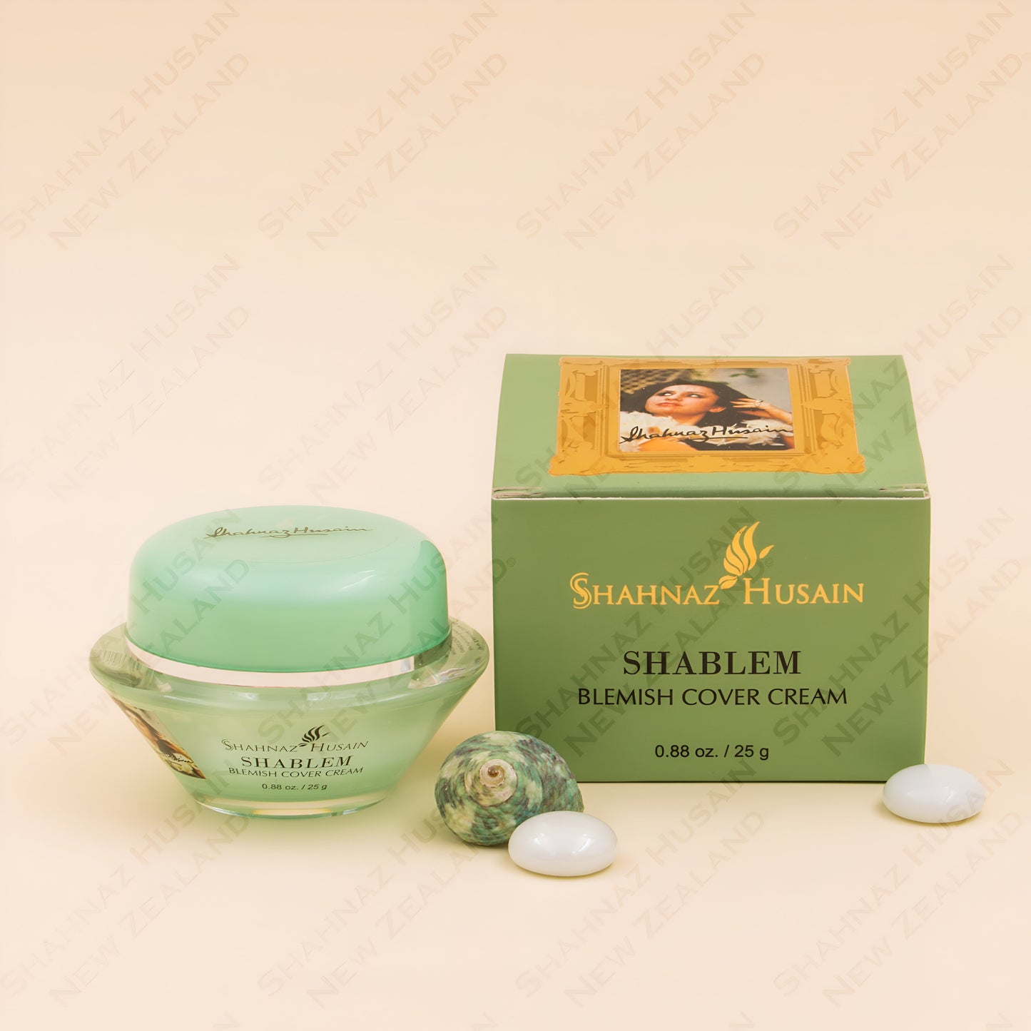 Shahnaz Husain Shablem Anti-Blemish Cream - 25g