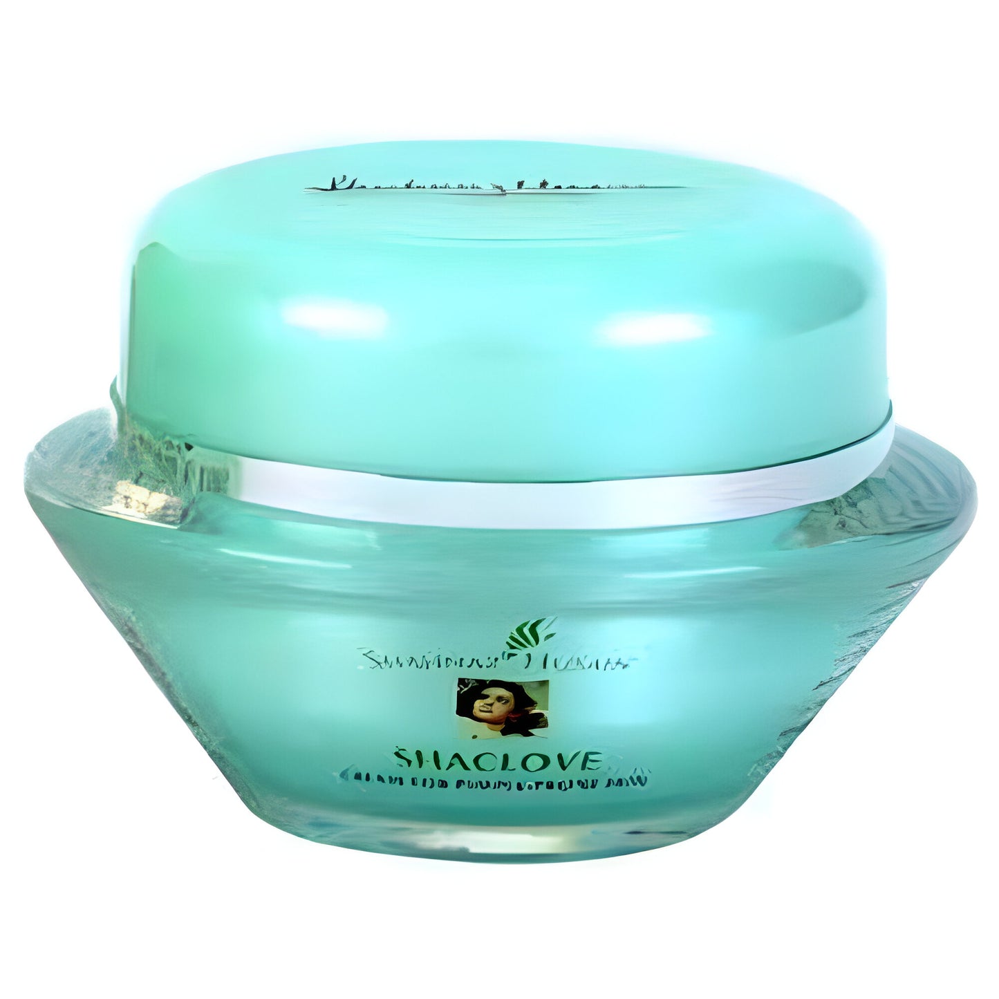 Shahnaz Husain Shaclove Plus Cream For Pimple-Prone Skin -25 gm