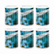 ItalWax Azulene Depilatory Wax Can 800ml, Salon Pack of 6