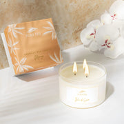 Pure Fiji PALM COLLECTION COCONUT WAX CANDLE (9.5OZ/280ML) Mango