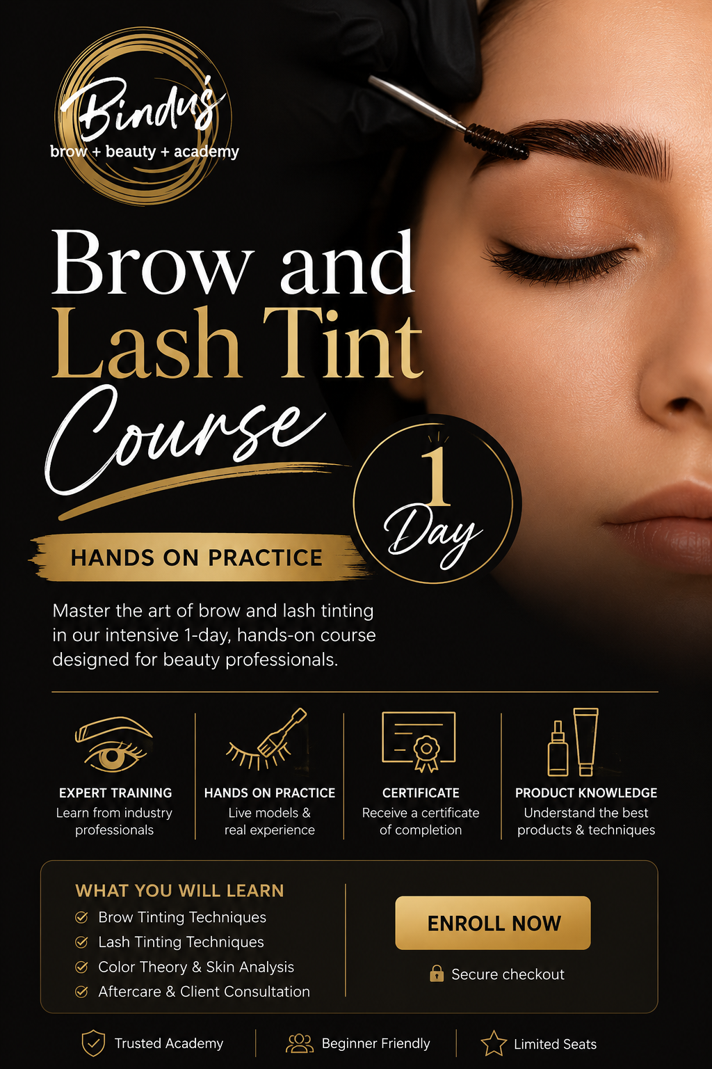 Brow and Lash Tint Course, 1 Day Hands On Training | Bindu’s Beauty & Academy NZ