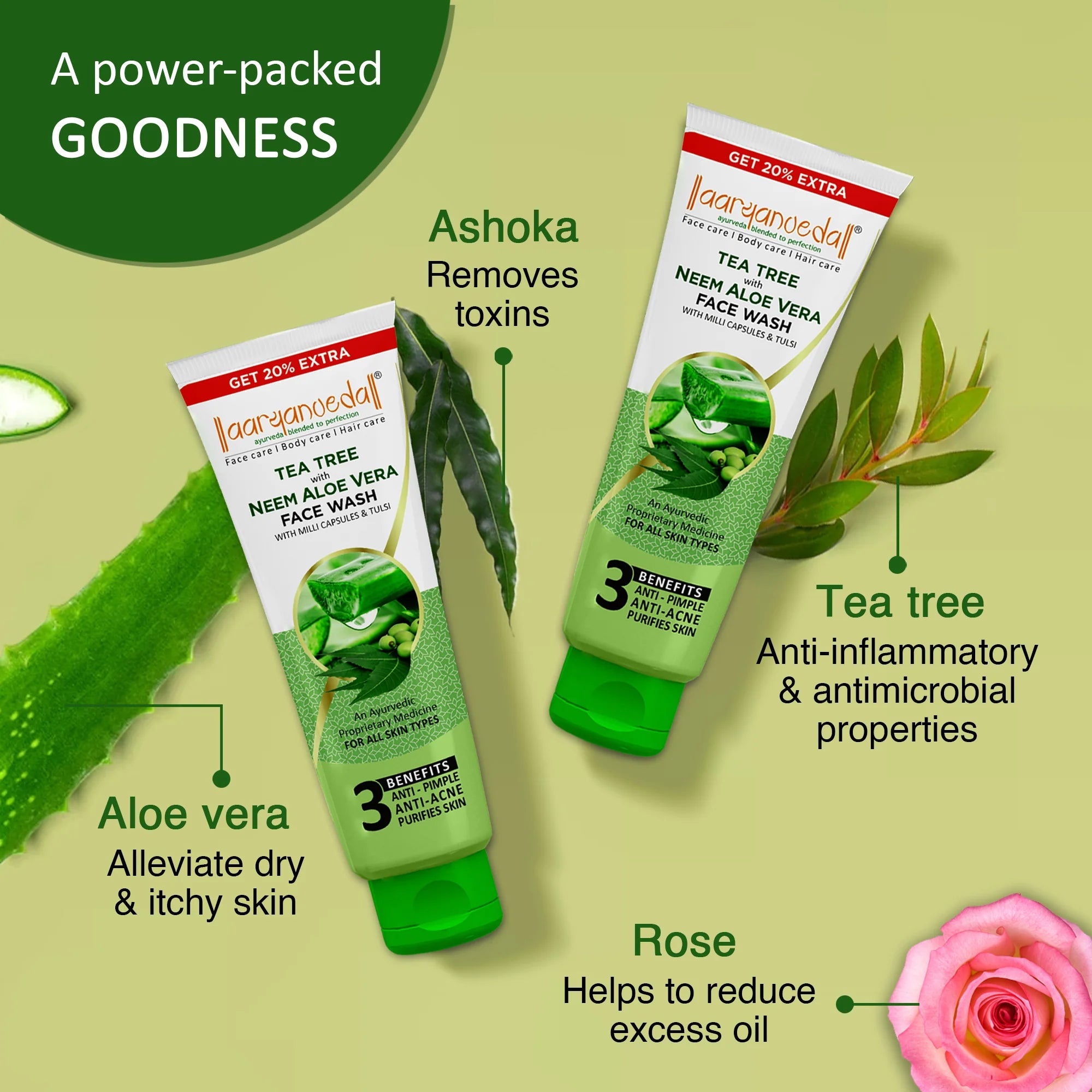 Aaryanvedal Tea Tree Neem Aloe Vera Face Wash, Anti Acne Herbal Cleanser
