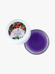 Shahnaz Husain Lip Balm - Purple