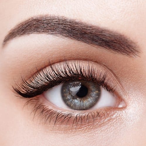 Brow and Lash Tint Course