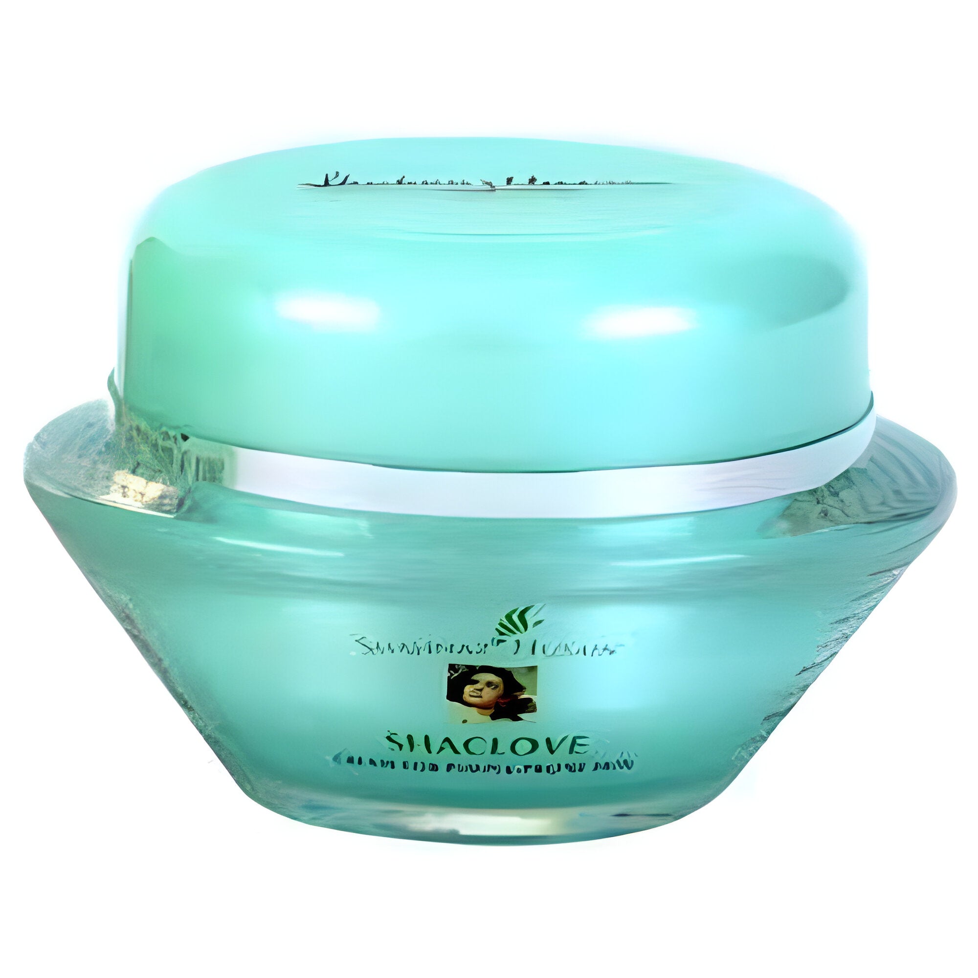 Shahnaz Husain Shaclove Plus Cream For Pimple-Prone Skin -25 gm